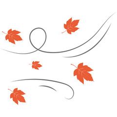 Fototapeta premium Autumn Leaves Blowing
