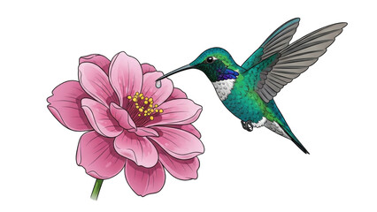 Obraz premium Hummingbird Feeding on Pink Flower in Vibrant Scene