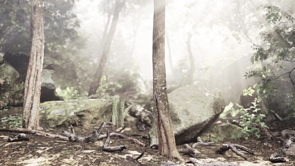 Sunlight breaks through the dense canopy of a lush forest, illuminating rocky terrain and providing a mystical atmosphere. The scene invites adventure and discovery in nature.