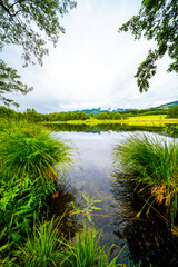 View of Lake Flatschacher See and the surrounding nature landscape near Feldkirchen in Carinthia.
