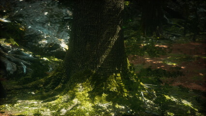 In a serene woodland setting, a majestic tree stands tall, its roots covered in bright green moss. Sunlight filters through the leaves, creating a mystical atmosphere. Nature thrives here.