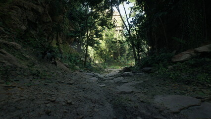 A serene forest path reveals lush greenery and gentle sunlight filtering through trees. Rocks line the trail, inviting adventurers to explore the beauty of nature.