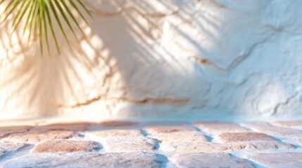 Sunlit stone pathway with shadows from tropical foliage in warm tones