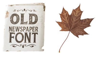 Old newspaper font and a maple leaf isolated on transparent background