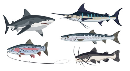 A diverse collection of common ocean and freshwater fish species.