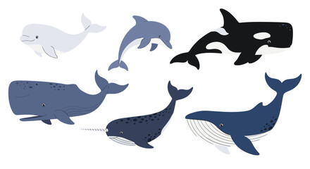 Fototapeta premium A variety of marine mammals swim in the ocean together.