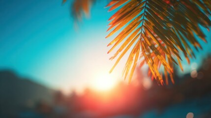 Bright sunset behind palm leaves in a serene tropical landscape