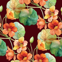 Fototapeta premium Vivid Nasturtium Tropaeolum Flower Botanical Watercolor Vector Seamless Pattern