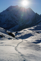 Sunlit Snow Path Leads Majestic