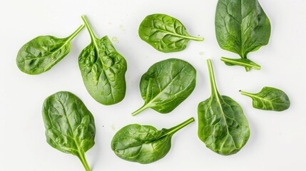 Fresh spinach leaves for salad cooking and health raw green vegetable food on transparent background