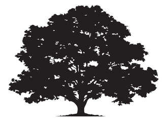 Vibrant Isolated Maple Tree Solid Black Silhouette