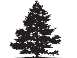 Stunning Standalone Pine Tree Vector Art Design