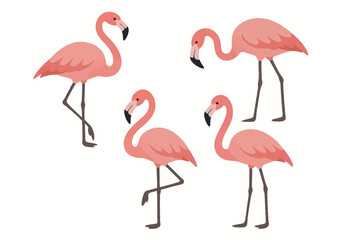 Fototapeta premium Four stylized pink flamingos on white background