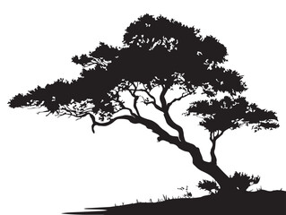 Minimalist Tree Silhouette Capturing Dry Desert Beauty Scene