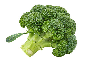 Fresh Broccoli Floret Vibrant Green Vegetable isolated on transparent background