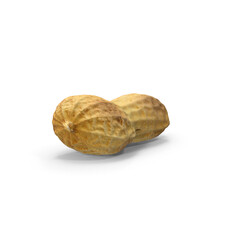 Single peanut shell closeup showing natural texture angled view