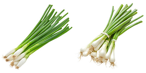 Fresh Green Onions Bunches isolated on transparent background.