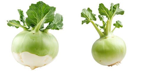 Fresh Turnips with Green Foliage Leaves isolated on transparent background.