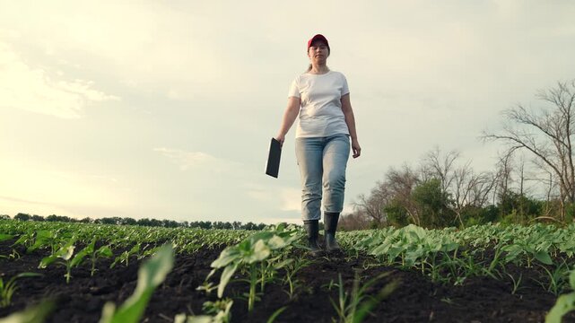 Agriculture, Female farmer evaluating farmland, Digital agriculture landscape, Woman checking young plants, Technology supported farming, Agricultural research in field, Green and fertile landscape