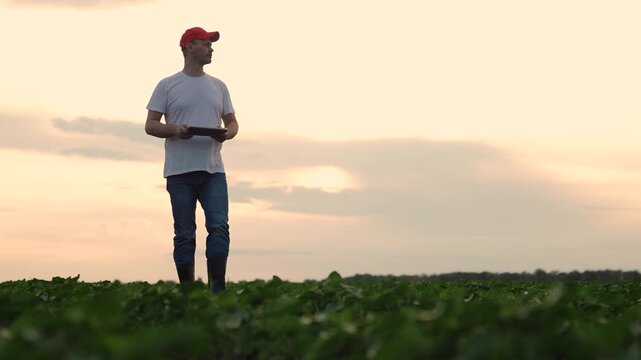 Agriculture, Evening field inspection by farmer, Tablet for better agriculture, Man analyzes crops with tech, Digital transformation in farm sector, Cultivating with the help of data, Device-driven