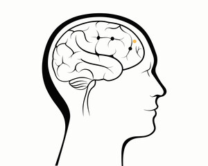 Illustration of a human head in profile with visible brain and highlighted area showing brain activity | editable eps vectors silhouette