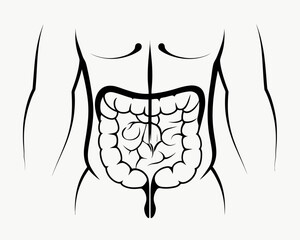 Illustration showing the human torso and digestive system in a minimalist black and white drawing | editable eps vectors silhouette