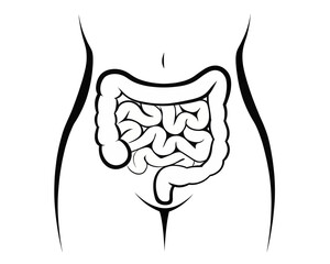 Illustration of human torso with visible intestines in black and white anatomical representation art | editable eps vectors silhouette