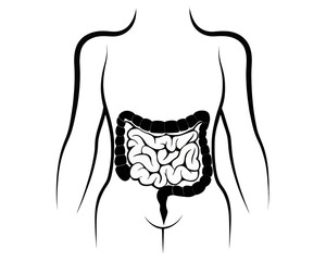 Illustration of a torso with the large and small intestines highlighted in black and white drawing style | editable eps vectors silhouette
