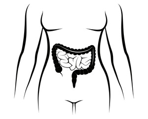 Illustration of a human torso with visible intestines in black and white line art style drawing design | editable eps vectors silhouette