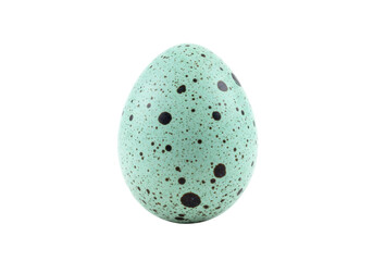 Speckled bird egg isolated on transparent background PNG, light blue egg with dark spots for Easter and spring designs