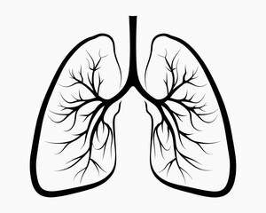 Illustration of human lungs with branching bronchioles in black outline on a white background anatomy diagram | editable eps vectors silhouette