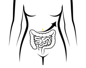 Illustration of a human body with an arrow pointing to the small intestine and a yellow triangle above it | editable eps vectors silhouette