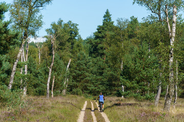 Woman cycles down a path through heather