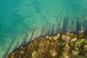 Top view lake autumn forest