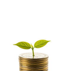 Young Plant Sprouting from Stack of Gold Coins on Black Background Symbolizing Financial Growth Investment and Business Success