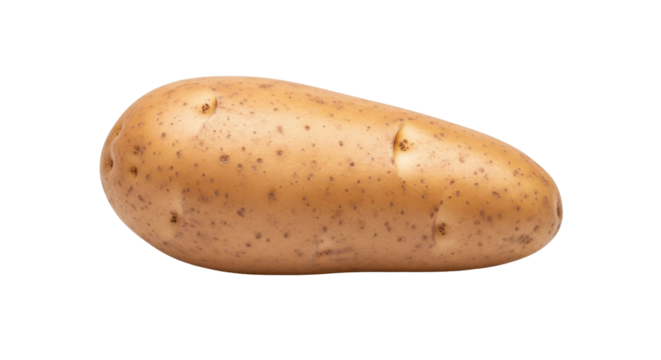 Isolated russet potato with firm light brown skin and visible eyes on neutral background