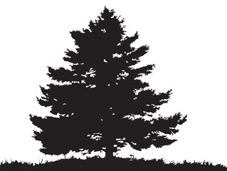 Majestic Pine Tree Silhouette Black Vector Nature Artwork