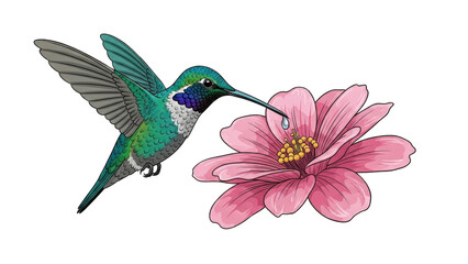 Fototapeta premium Hummingbird Feeding on Pink Flower in Vibrant Garden (1)