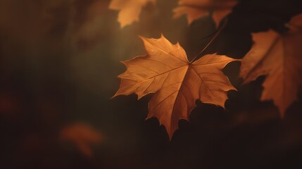 Autumn Leaves in Soft Focus with Warm Tones and Dreamy Background
