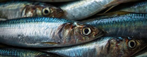 The fresh mackerel showcasing vibrant colors in a fish market setting.