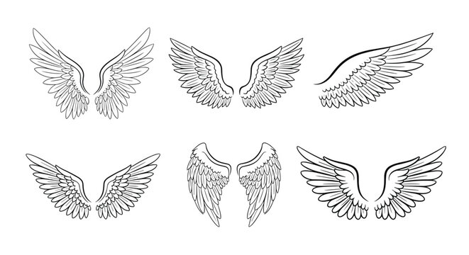 A collection of six different stylized angel wing designs.