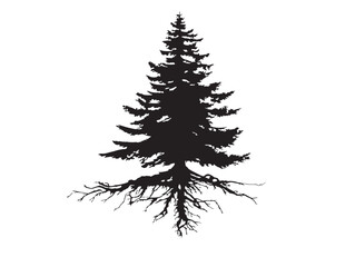 Majestic Fir Tree Silhouette Representing Forest Strength