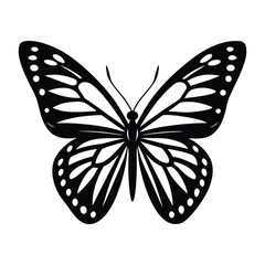 Monarch Butterfly Silhouette Vector on White Background