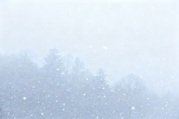 Snowfall in a forest