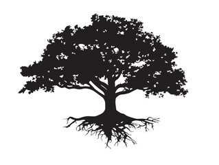 Fototapeta premium Classic old tree with extensive roots for heritage branding