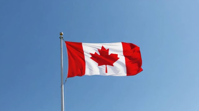 woman, stop, gesture, dark, background, serious, warning, defensive, hands, emotion, portrait, female, no, signal, body language, determination, alertness, assertive, young, adult, communication, expr - Powered by Adobe