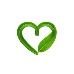 Green Leaves Forming Heart Shape on Black Background