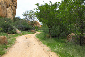 Sandy country road through the beautiful landscape in Namibia near the Waterberg Plateau. Large rocks along the roadside. Tourism and vacation concept. Namibia, Africa