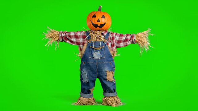 halloween witch with pumpkin and broom