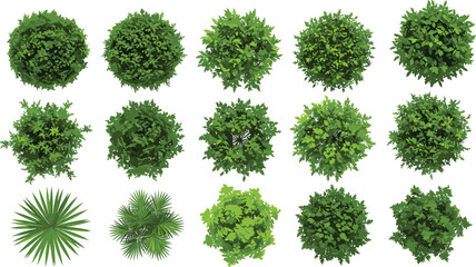 Top view green plants, tree foliage icons, palm leaves, landscape design, botanical illustration, garden planning, nature pattern, architecture visualization, vector set